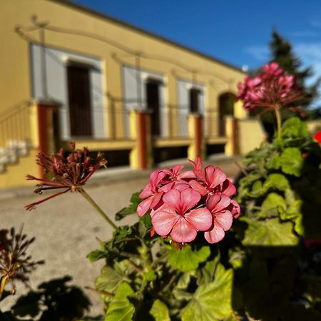 Agriturismo Il Trappeto Gallipoli Extérieur photo