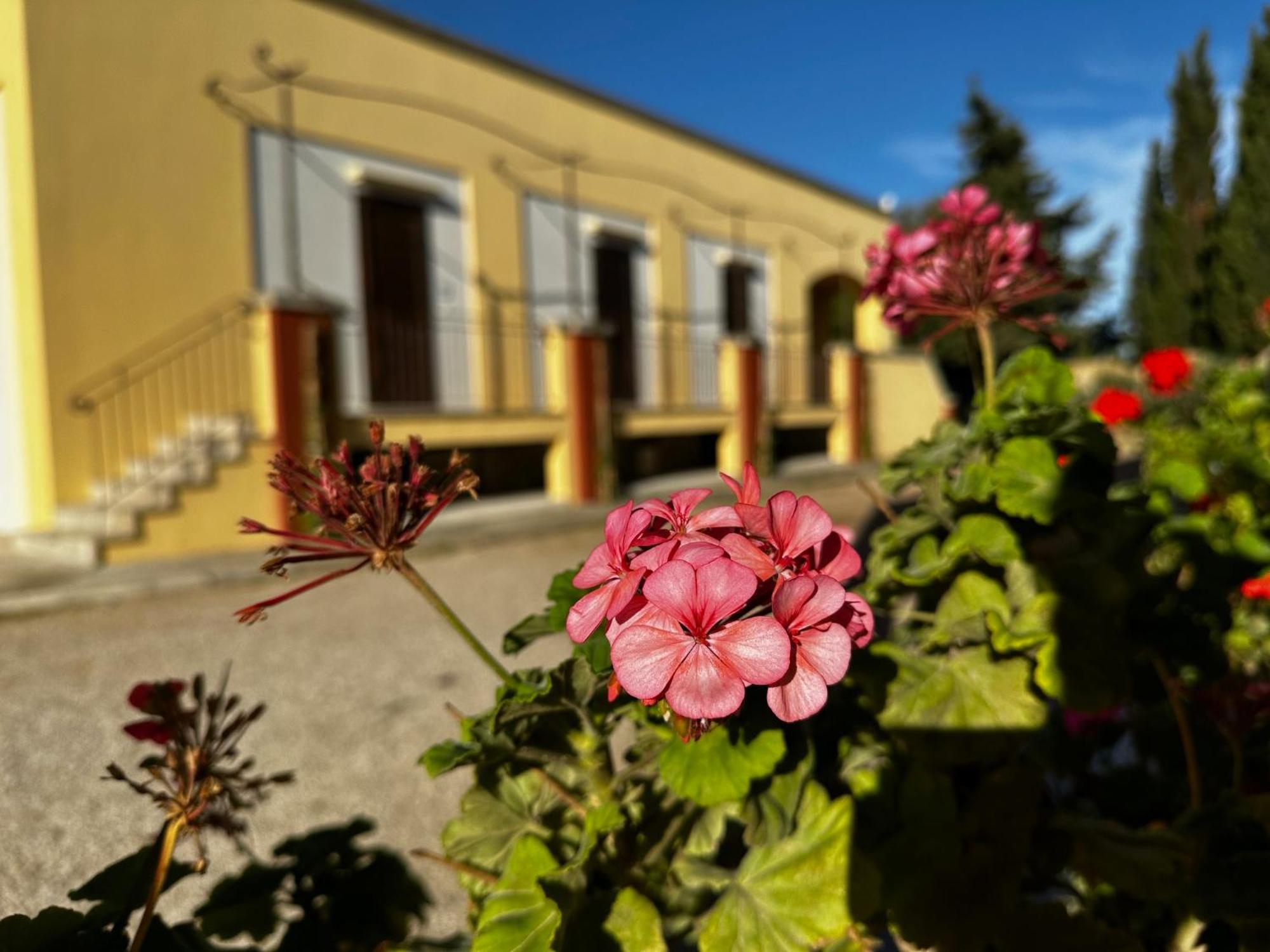 Agriturismo Il Trappeto Gallipoli Extérieur photo