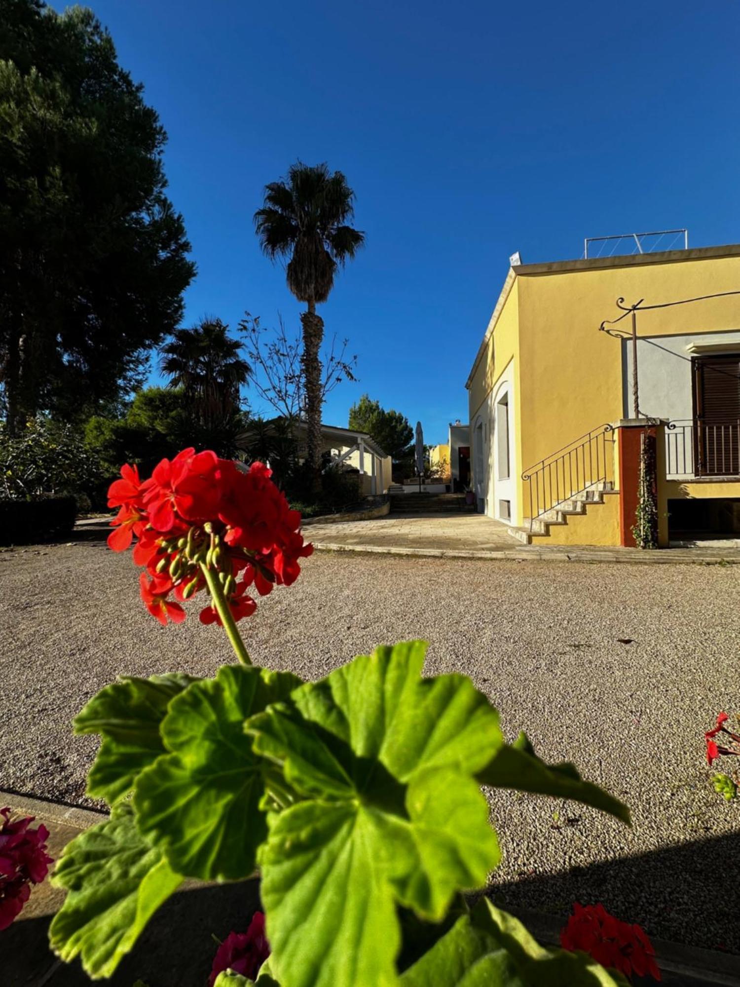 Agriturismo Il Trappeto Gallipoli Extérieur photo